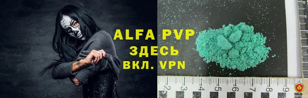 крисы Новодвинск