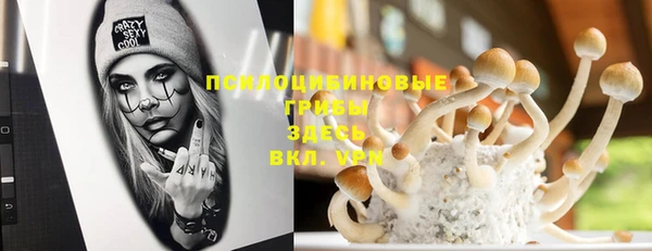 ешки Новозыбков