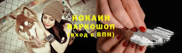 ешки Новозыбков