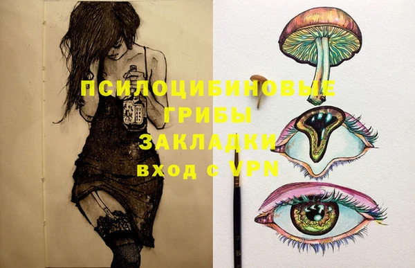 крисы Новодвинск
