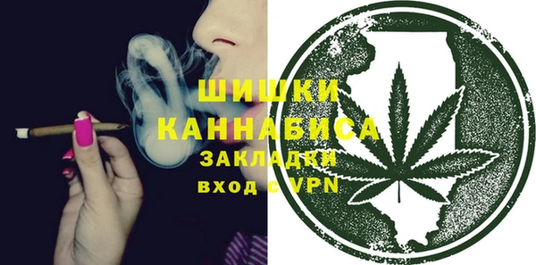 крисы Новодвинск
