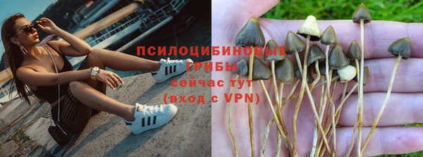 крисы Новодвинск