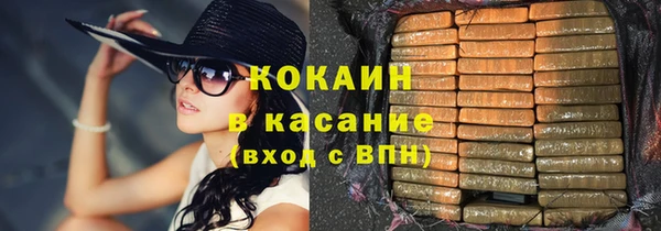 крисы Новодвинск