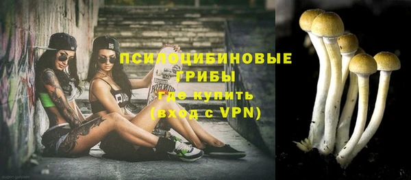 крисы Новодвинск
