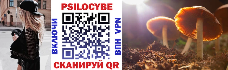 Псилоцибиновые грибы Psilocybine cubensis  Бавлы 